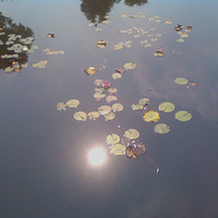 �����ȥ��������ת��ת