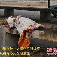 Ϊй�ߣ�����ɥ�Ĳ��������õ�ͱ������