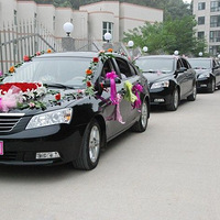 ��ɫ��ׯ�� ��ɫ��ϲ�� ��ɫ������Ķ��˶��