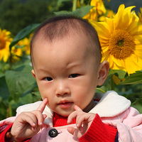 ��һ�ε����տ�~~������Pֱ��~~��С����~~