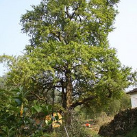 10��31���ٰ�ָ�ϴ��������ɽ�!