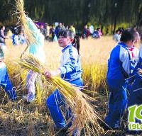 ����������������Сѧ���µ�ѧ�