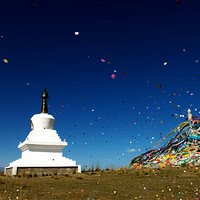 �����޽��������������ຣ����־