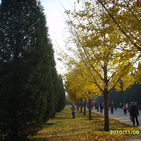 ���� ��̳ Բ��԰