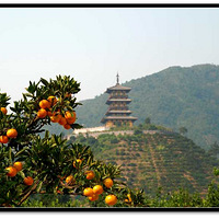 �ٺ�ӿȪ���� ������ժ