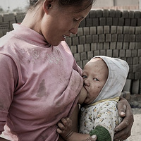 ������Ƭ���������Ӱʦ��