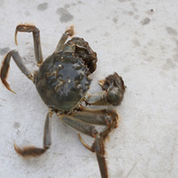 ����--����--����--��֤һ���