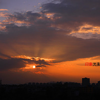 2010���ݵ����ر�Ѥ�������ռ��˽�һ��