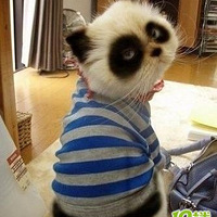 ��Щ����Ц��Ķ�����~~~