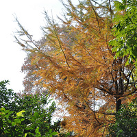 ��������  �׽�ջ�����չ̽��