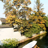 ���ﻨ������Щ��Ƭ���������͡����