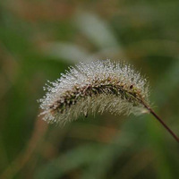 �ڶ���.�տ�