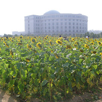 �㹤������У��������(ͼ)