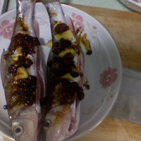 1799�Ľ������������ԣ���������