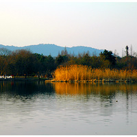 �����û�����ĺ���