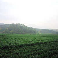 21�����������������Ƭ - FOOD����ʳ����ȫ��