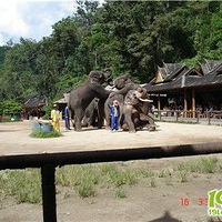 û�£���ͼ�ˣ���˫���ɷ羰