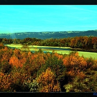 ѧ粥µ˹Ƭû޹²ȴһ