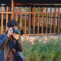 ===���е�ֻ�Ǹ���===