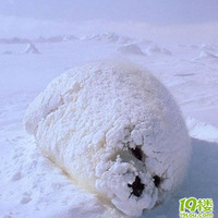 �ȵ����У���Q��С����~~