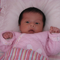 û���������Ŷ�����Ƭ