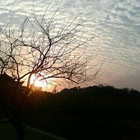 �׵̿�����