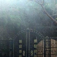 C5,���Ǻ�Ƶ���ζ