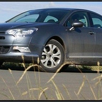 �Һͳ����и�Լ�ᡪ��Ʒζ���������ɫ������C5�����黳