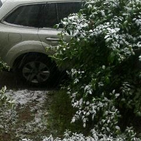 2010��ĵ�һ��ѩ