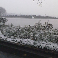 �ô��ѩ������