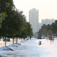 ���˰�ɫ���ǰ�ɫ~~