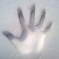 ѩ��ѩ���淨