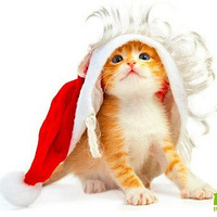 è��ӭ��ʥ��