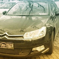 �͵���� �������� С�嵽�Ұ������