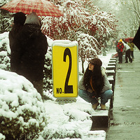 ���������������ɫ��ʥ����