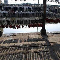 ���������ζ��