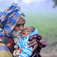 ӡ��94���Ϻ����ӻ���������������