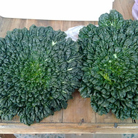 ���ǿ������������ô��