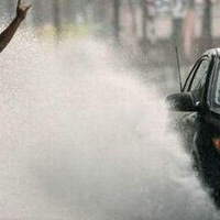 ������ţ��Ҳ̫���˰ɣ�