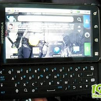 ����ɹ�Ҹ� ��Ҷ����԰�һ������ɣ���ͼ��