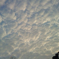 ������Ʈ���Ǹ��ƣ�����������ҹ��������������