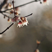 ʲô���ڷ�--------��Ϫ���«έҲ�ڷ�