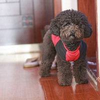 ���ѻ����С����------����