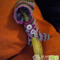 ���ź������������Ҫ�ӵ���Ŷ��