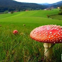 ���������Ģ��