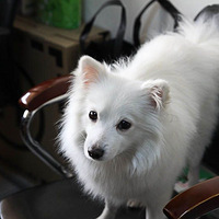 �ٺ٣�����