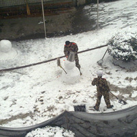 ����ѩ��