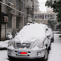 �����Ž�����峡ѩ��PP