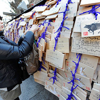 �ձ�ѧ���������� ���꿼�Ϻ�ѧУ