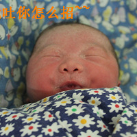 ����ɹһ���Ҽұ�������,����������~~����